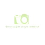 Мискантус Китайский Серенгети
